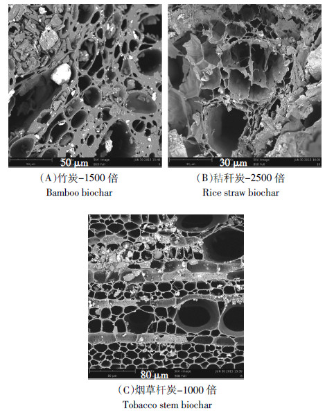 生物质炭扫描电镜图 figure sem images of different