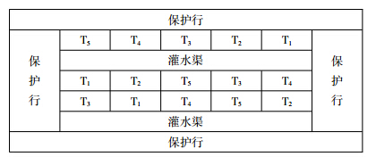 试验小区面积为5 m×9 m=45m 2,重复3次,随机区组排列,田间试验排列见