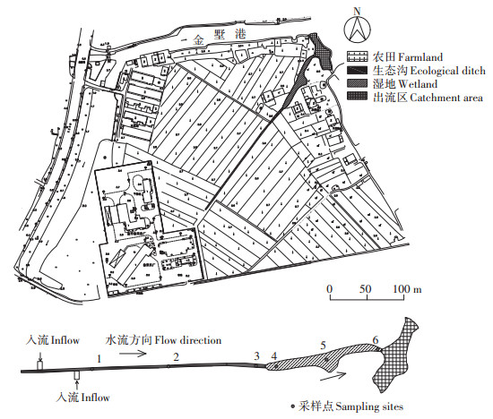 生态沟-湿地系统对农田排水氮磷的去除效应